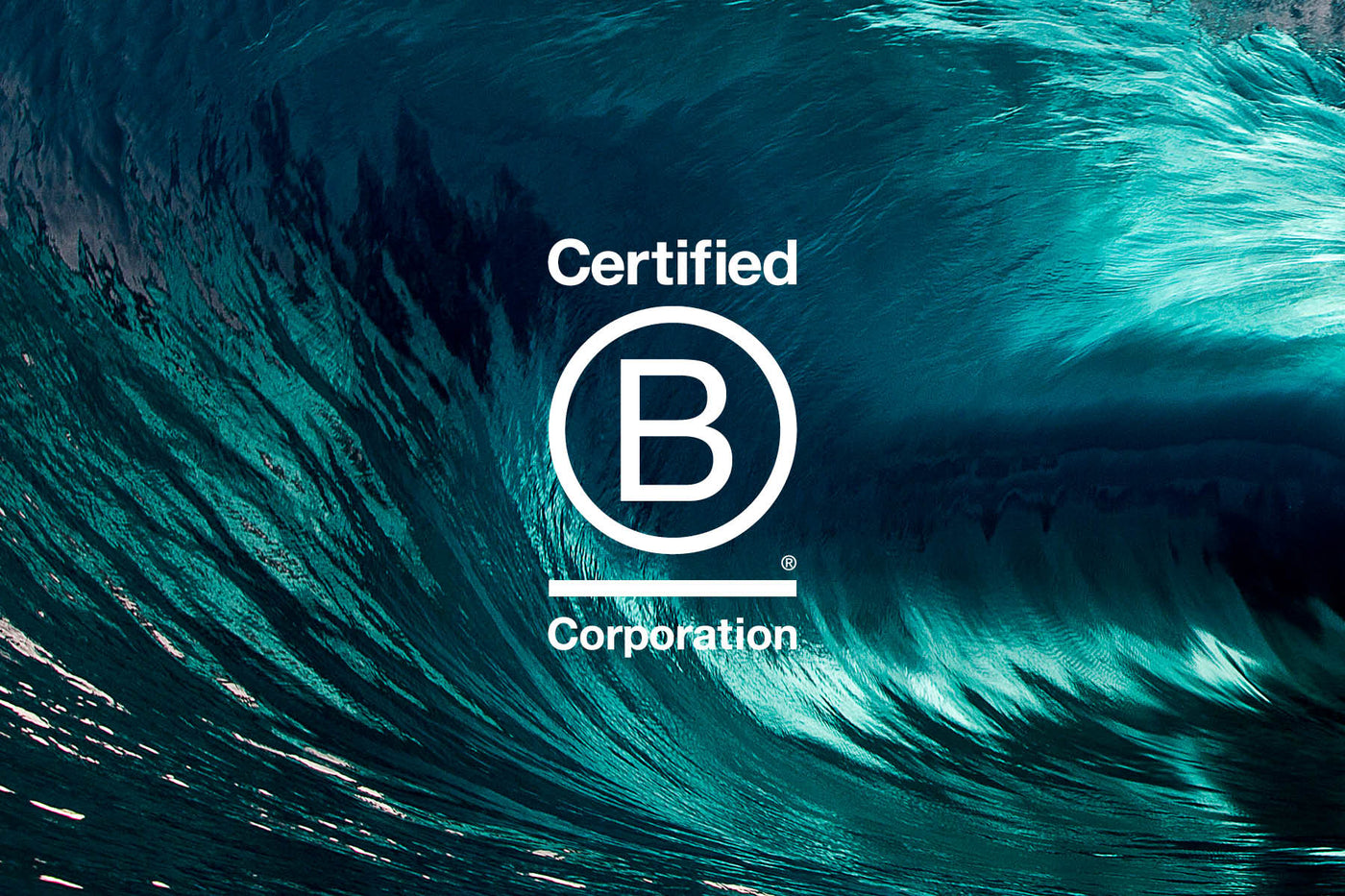 OTIS is now B-Corp Certified