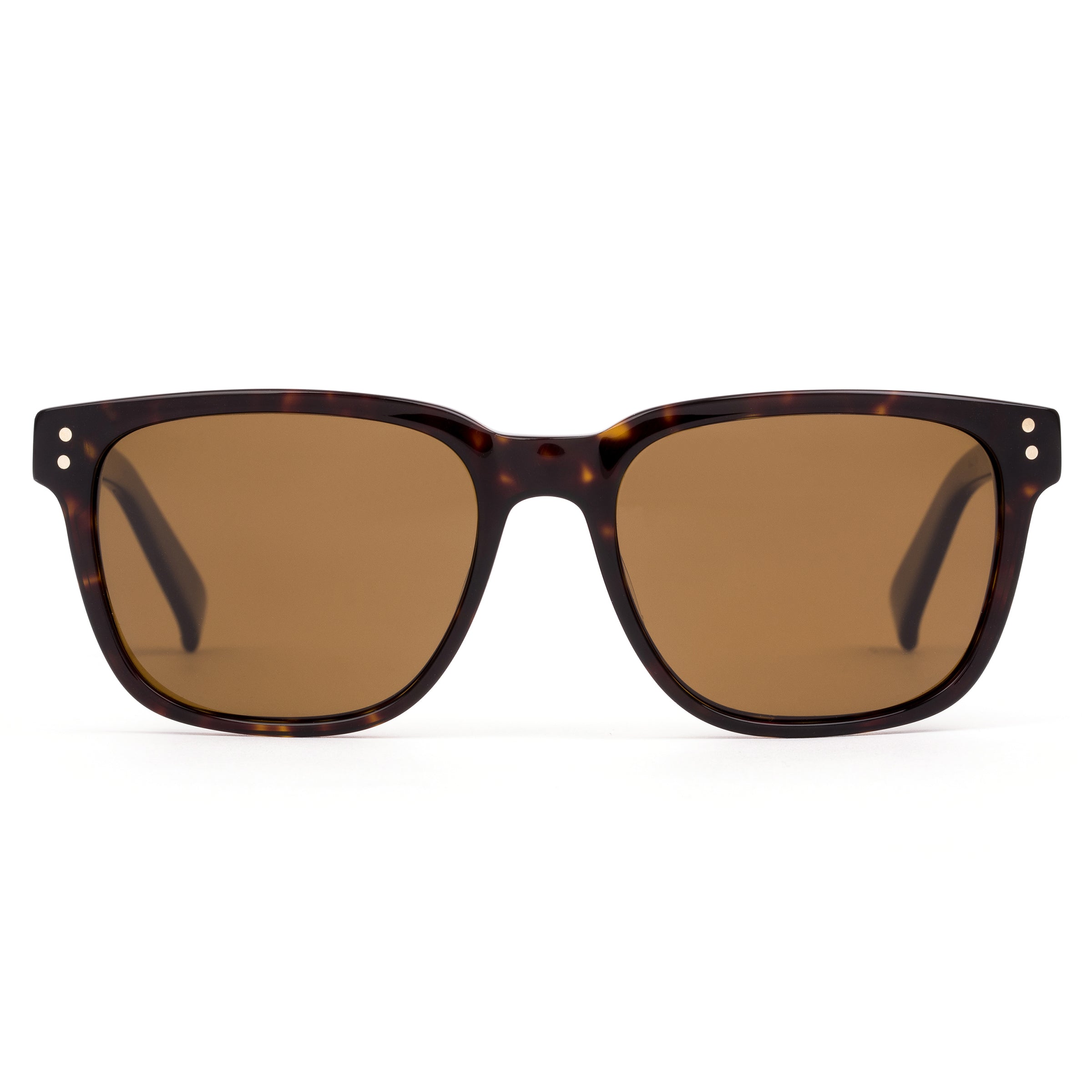 Test Of Time X : Eco Dark Tort / Brown Polar