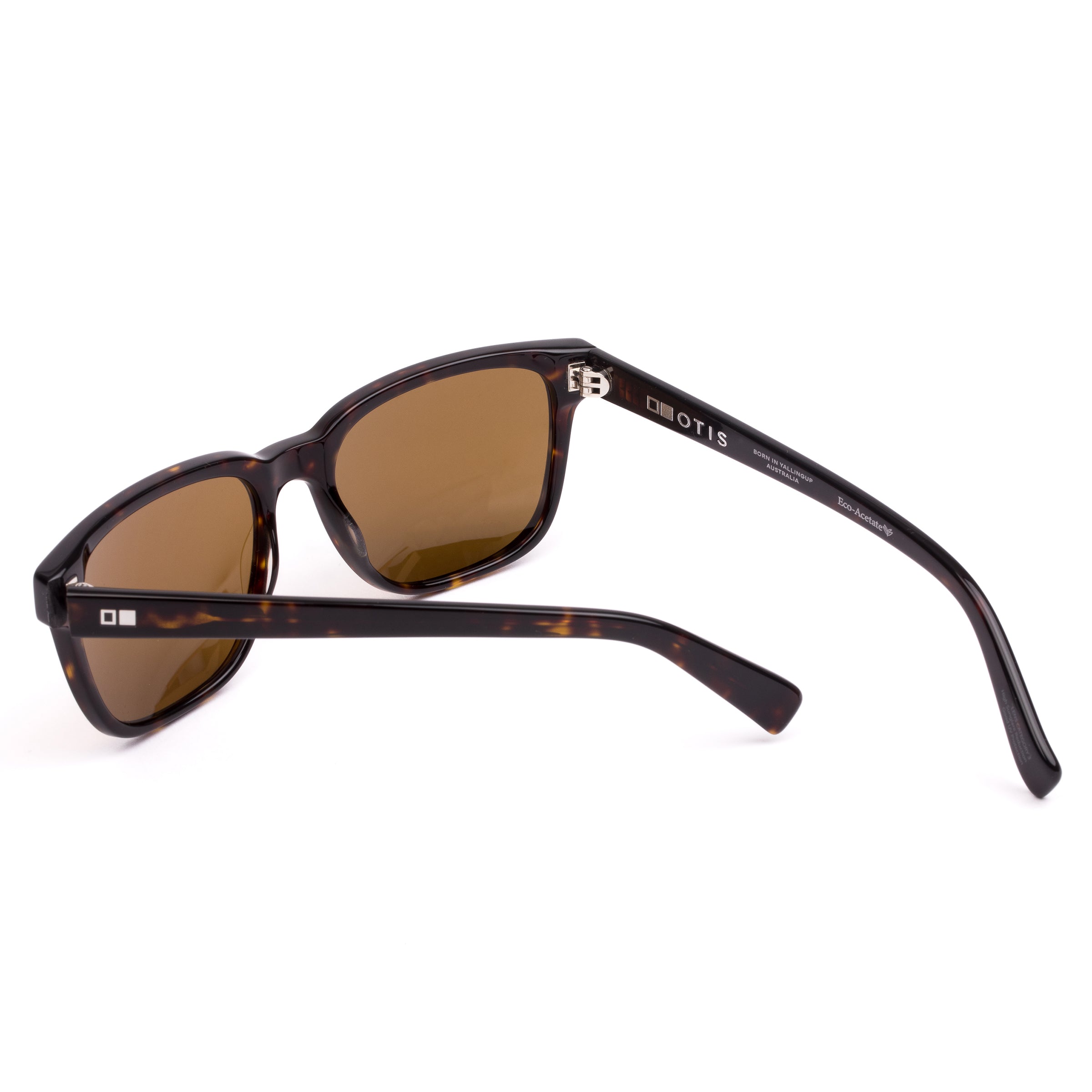 Test Of Time X : Eco Dark Tort / Brown Polar