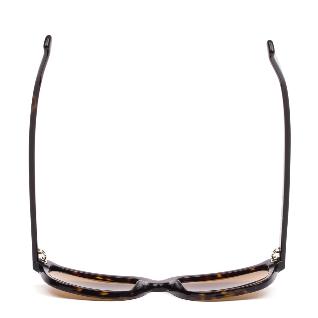 Test Of Time X : Eco Dark Tort / Brown Polar