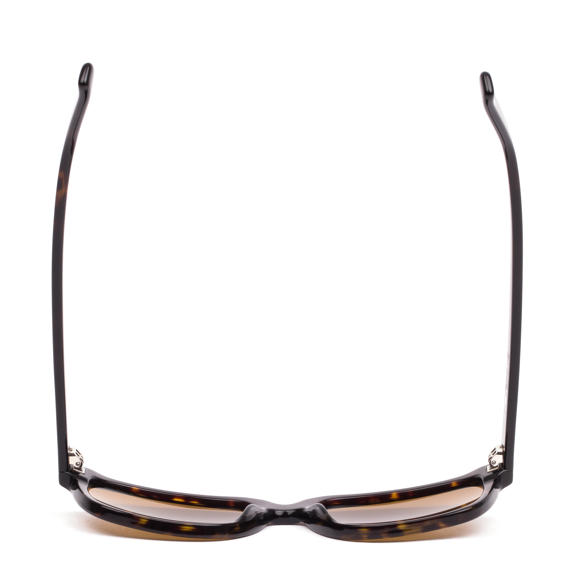 Test Of Time X : Eco Dark Tort / Brown Polar