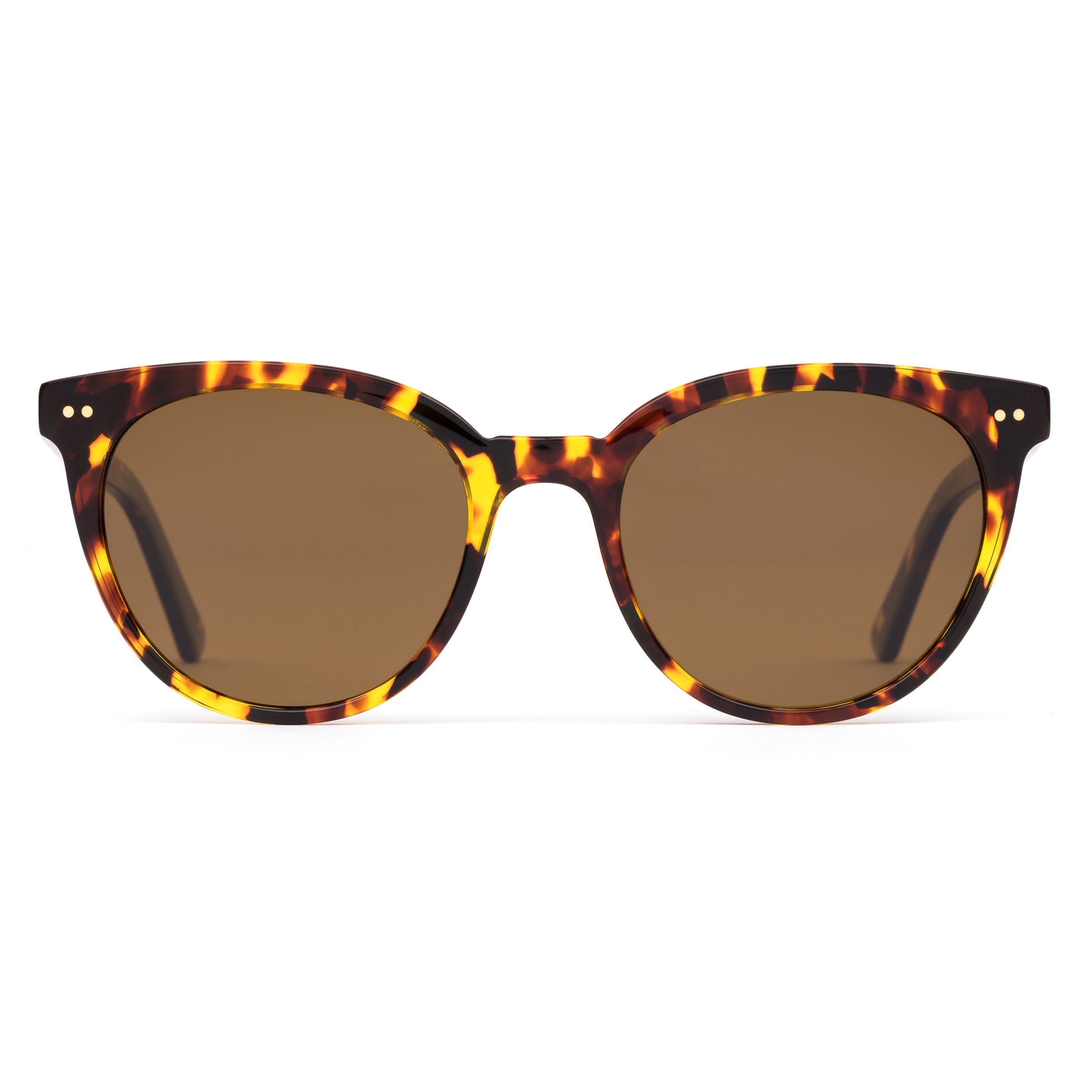 Jazmine : Eco Havana Sun / Brown Polar