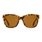 Odyssey : Amber Lava / L.i.t. Polar Brown