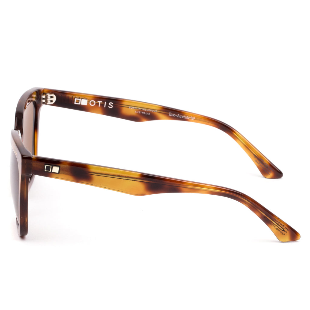 Pursuit : Eco Havana Zinnia / Brown Polar