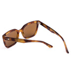 Pursuit : Eco Havana Zinnia / Brown Polar