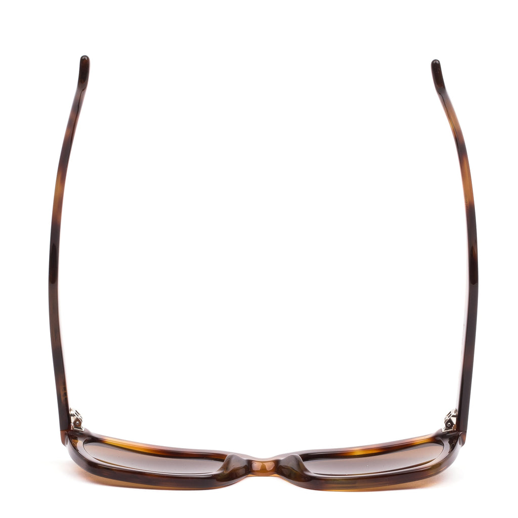 Pursuit : Eco Havana Zinnia / Brown Polar