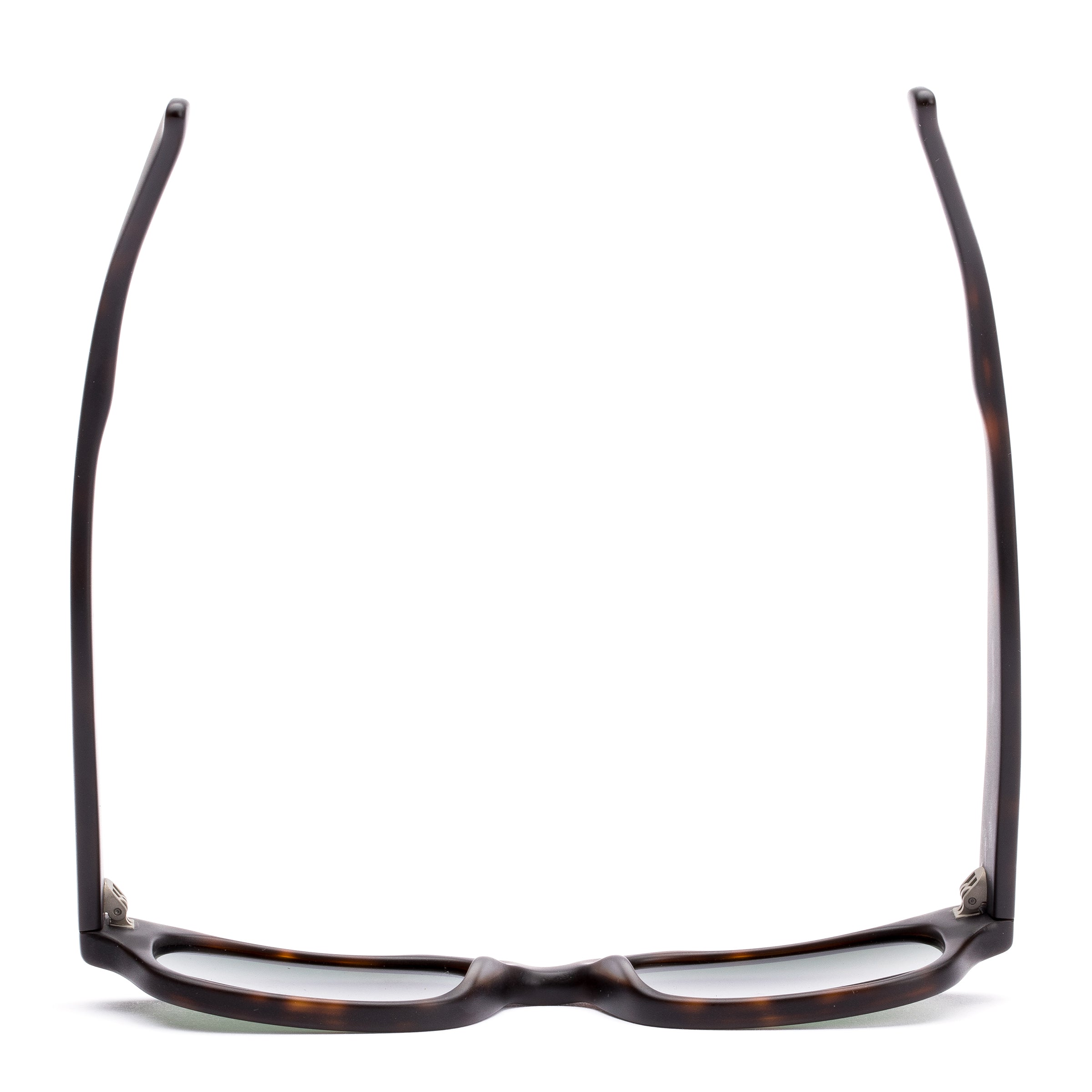 Untitled : Matte Hinton Tort / Green