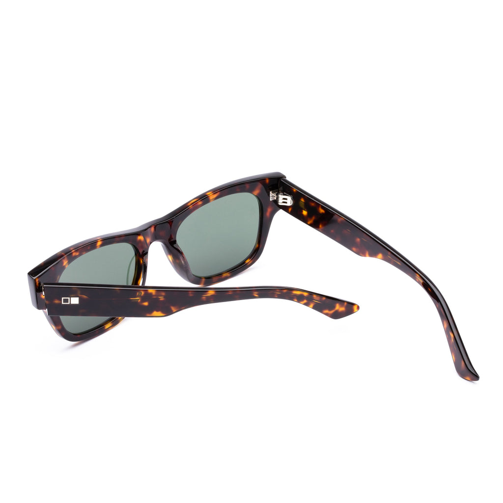 Out Of Sight : Eco Havana Ray / Grey Polar