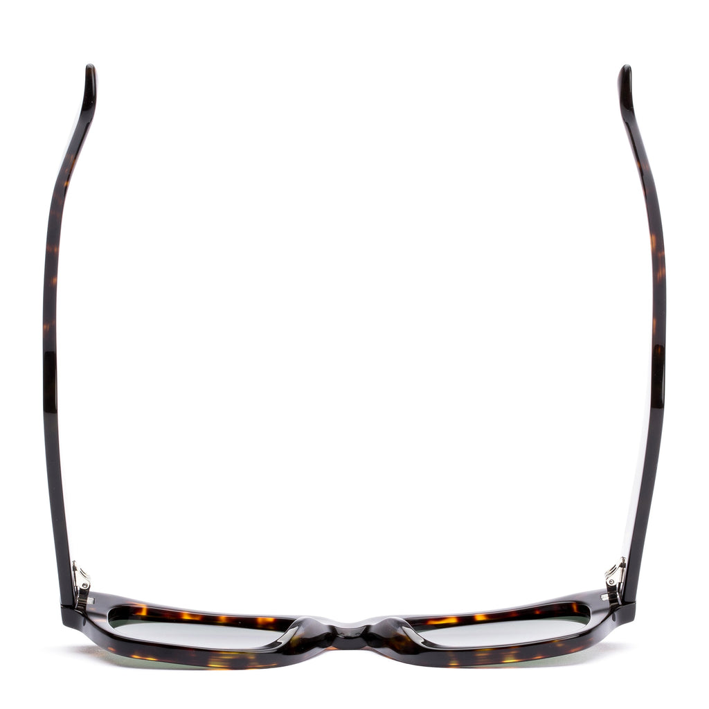 Out Of Sight : Eco Havana Ray / Grey Polar