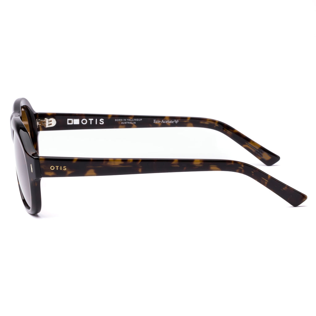 Kingswood : Eco Umber Tort / Brown Polar