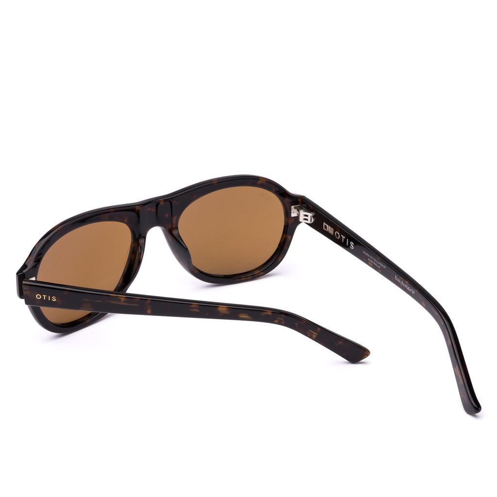 Kingswood : Eco Umber Tort / Brown Polar