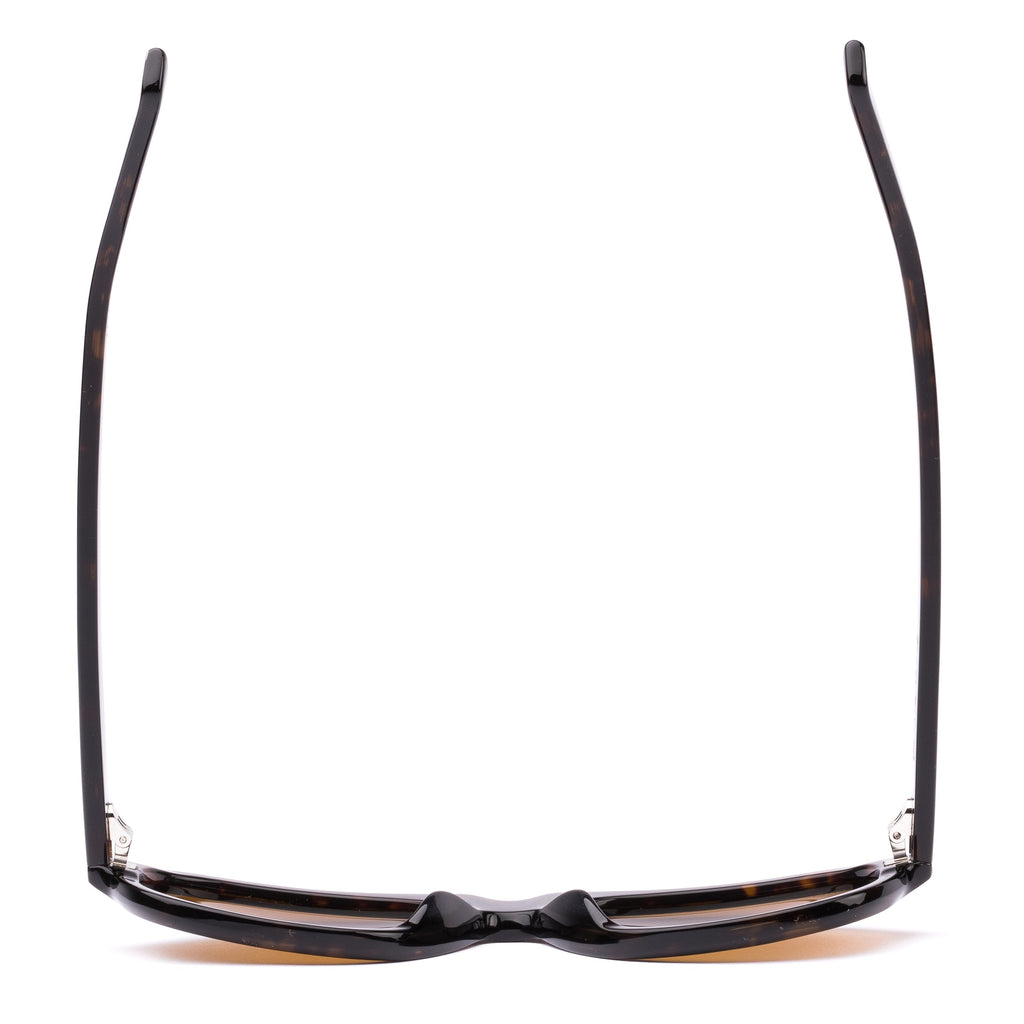 Kingswood : Eco Umber Tort / Brown Polar