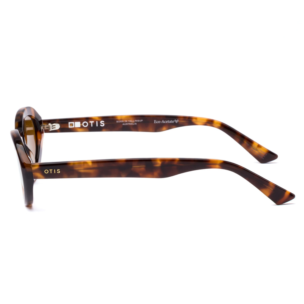 Birdie : Eco Sepia Tort / Brown