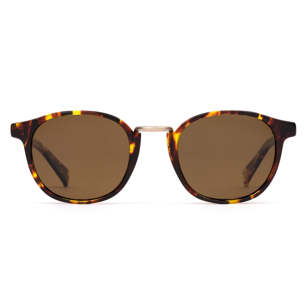 A Day Late : Eco Havana Sun / Brown Polar