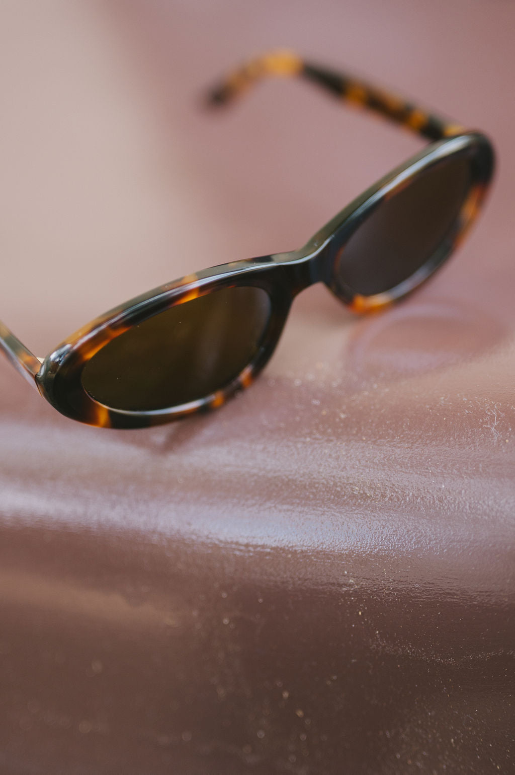 Birdie : Eco Sepia Tort / Brown