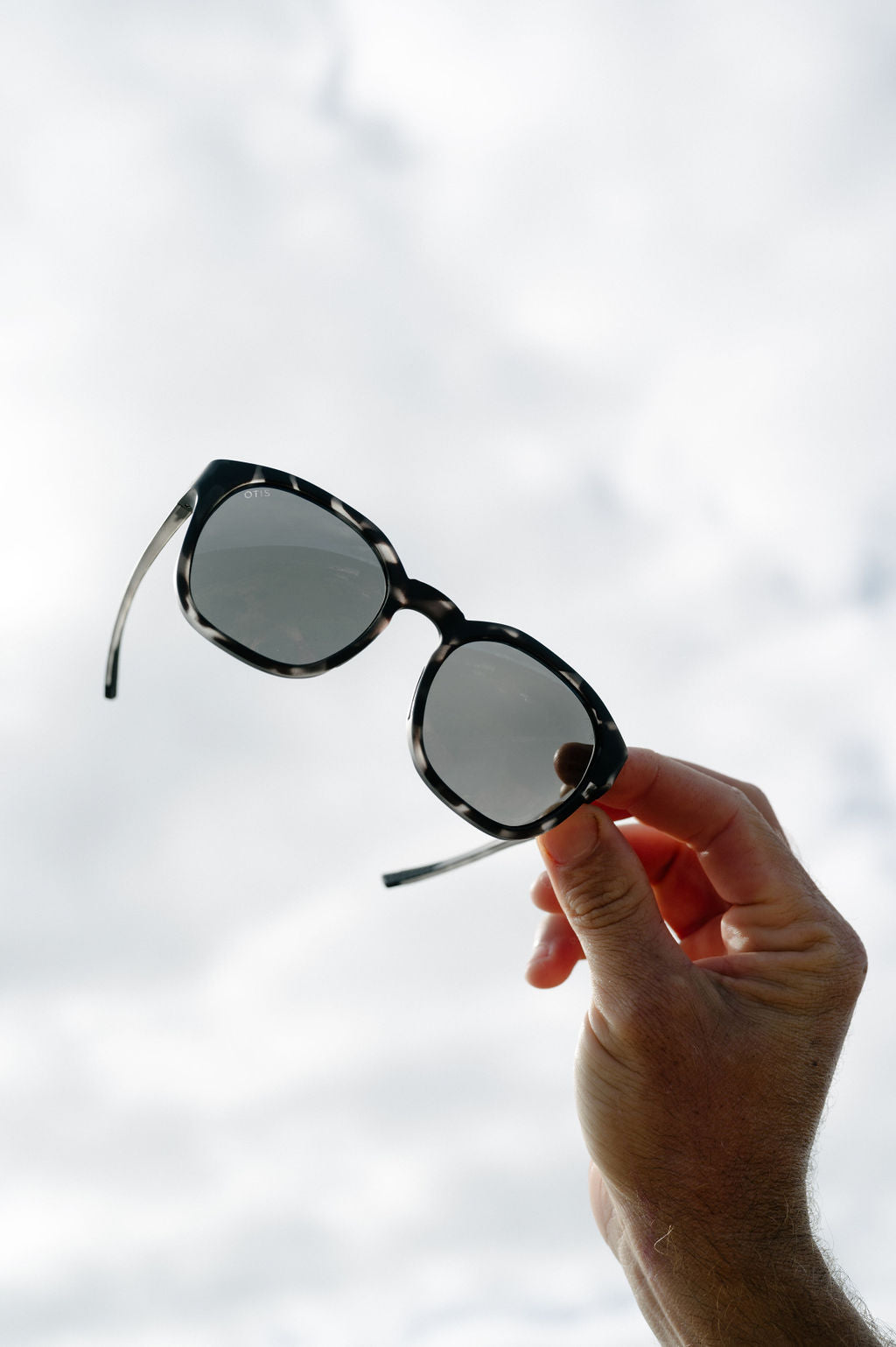 Offset Sport : Matte Slate Tort / L.i.t. Polar Grey