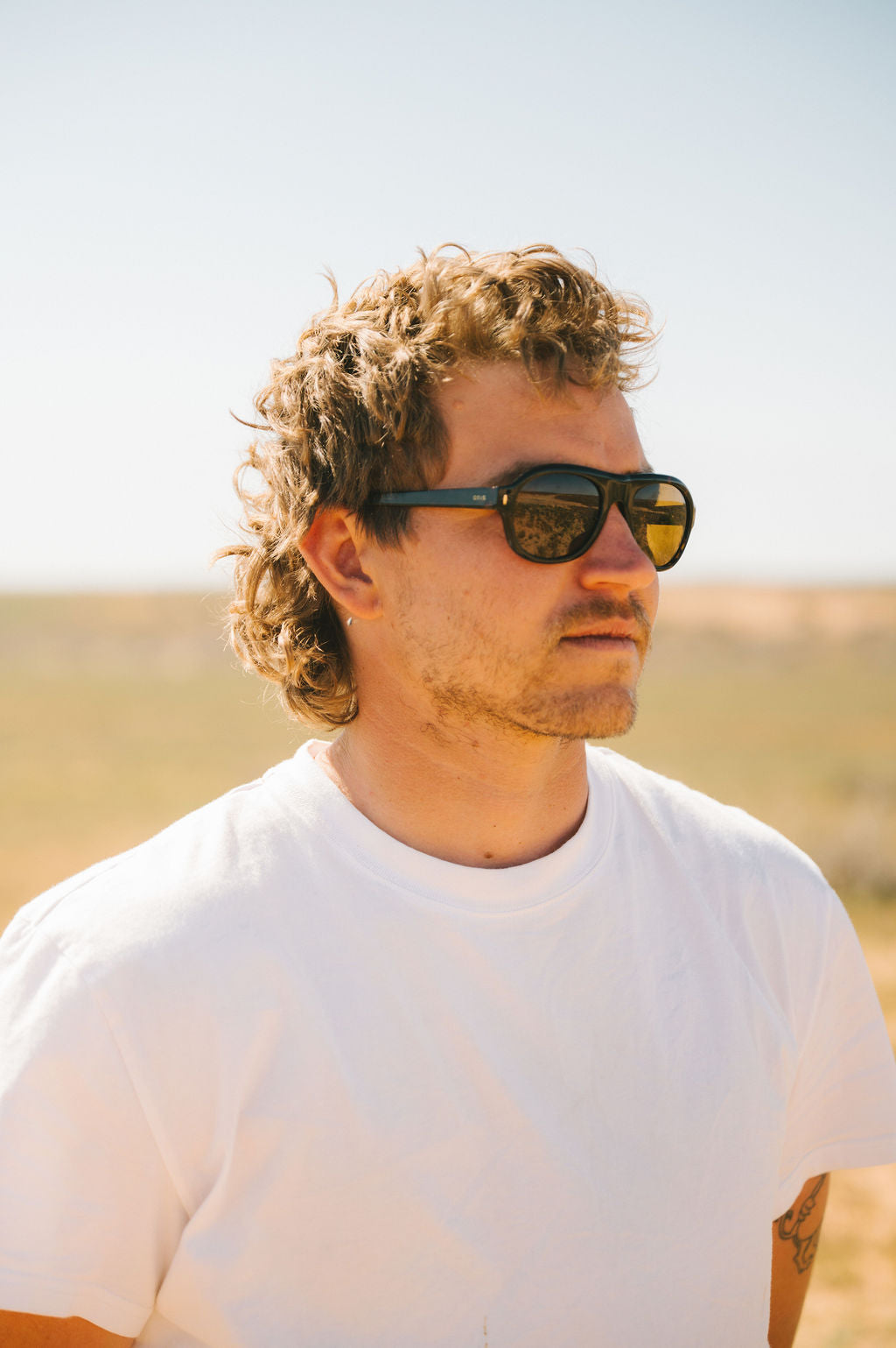 Kingswood : Eco Umber Tort / Brown Polar