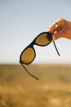 Kingswood : Eco Umber Tort / Brown Polar