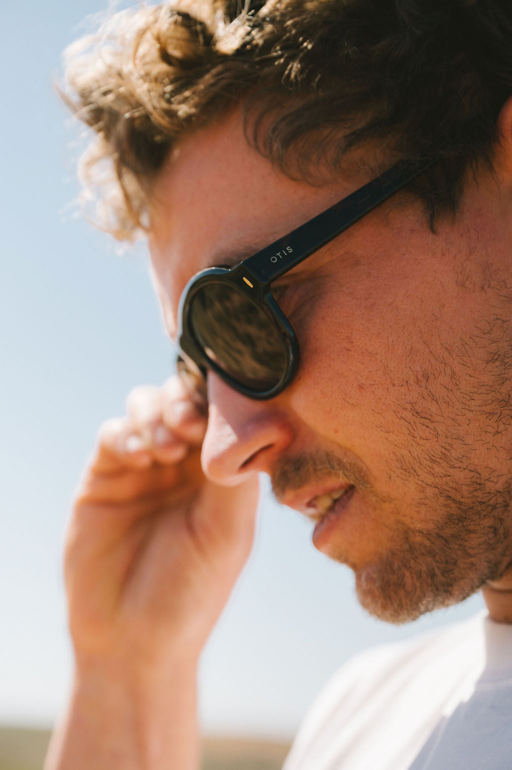 Kingswood : Eco Umber Tort / Brown Polar