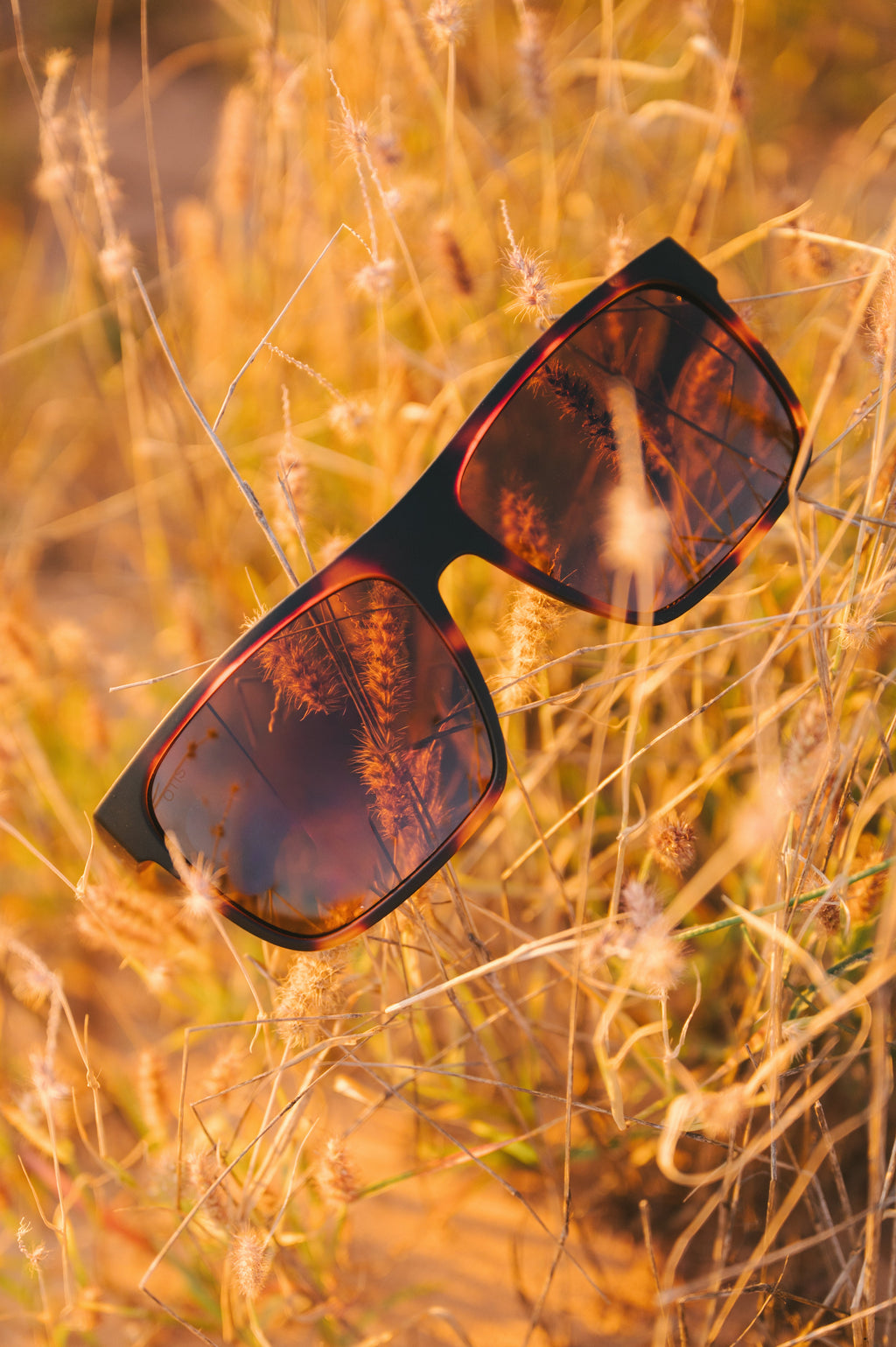 After Dark X : Matte Clay Tort / Brown Polar