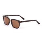 Fiction : Eco Matte Dark Tort / Brown Polar